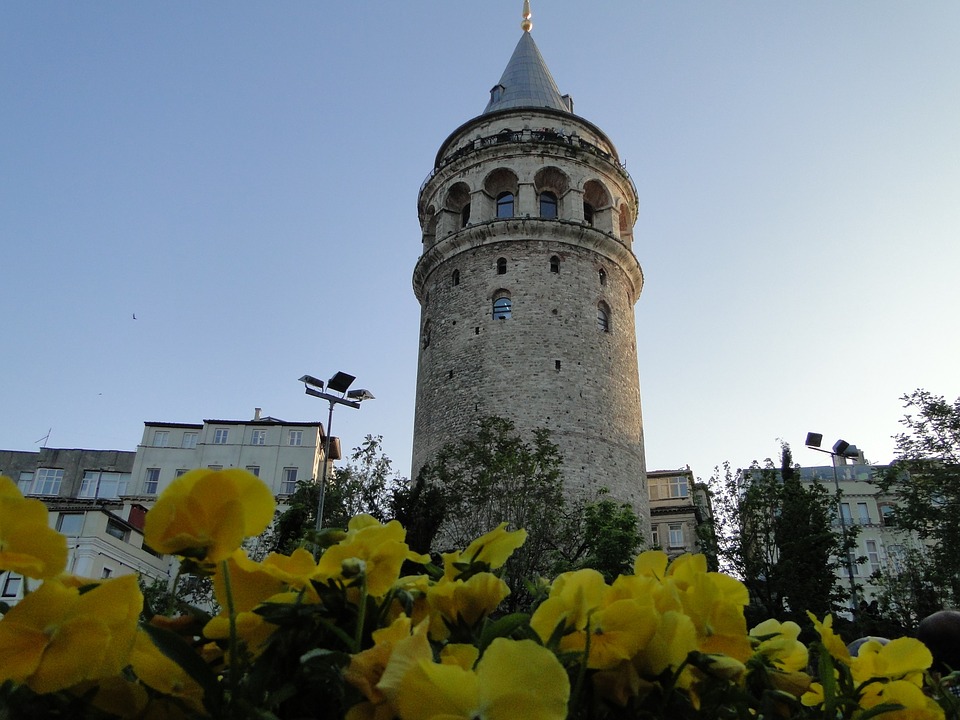 tulipe symbole de la Turquie