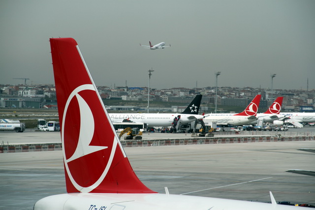 turkish airlines algérie