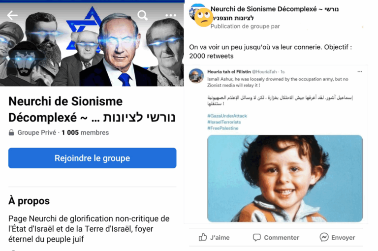 réseaux pro-israéliens en France